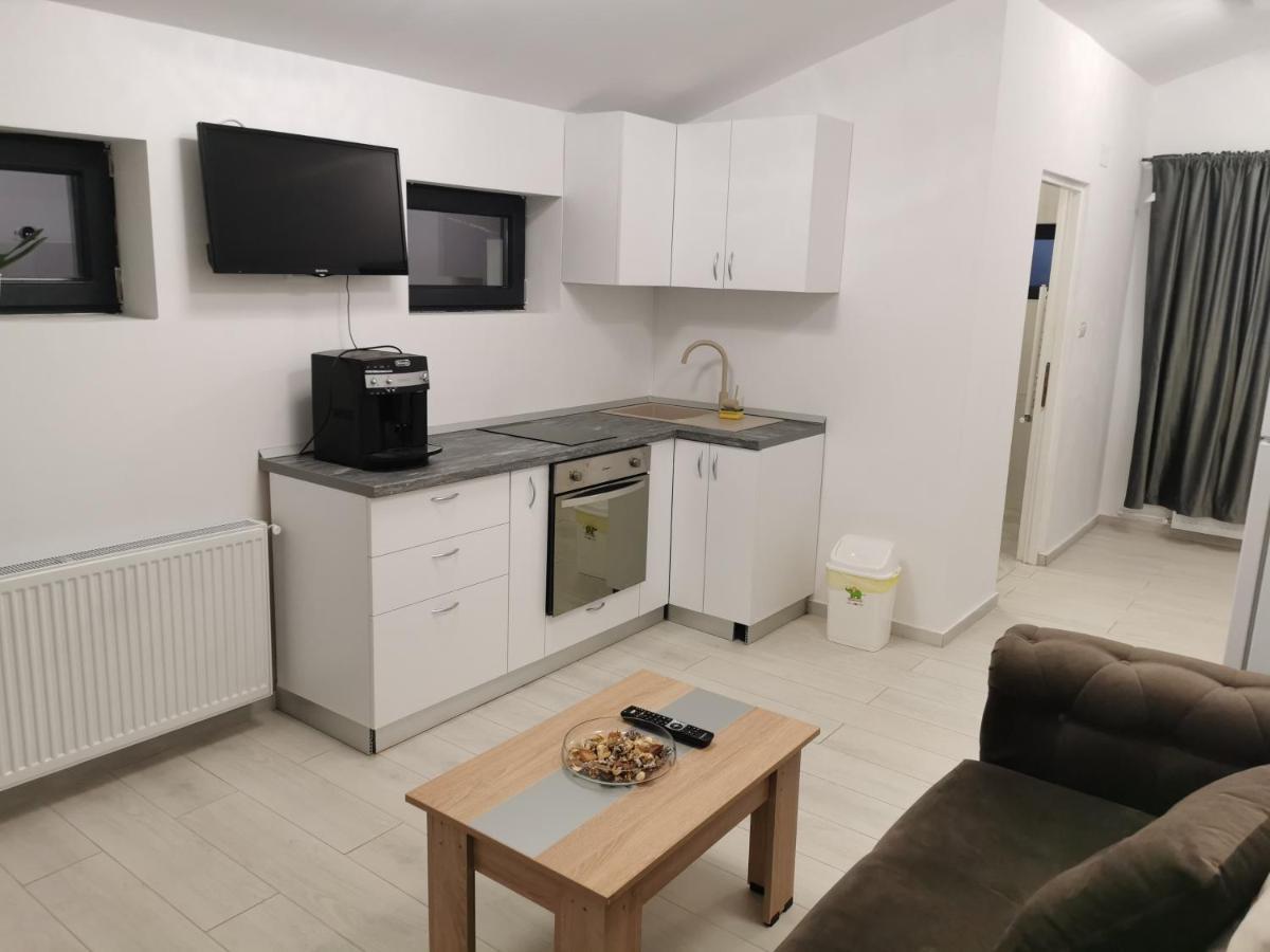 Jolie Luxury Apartments II Timişoara Extérieur photo