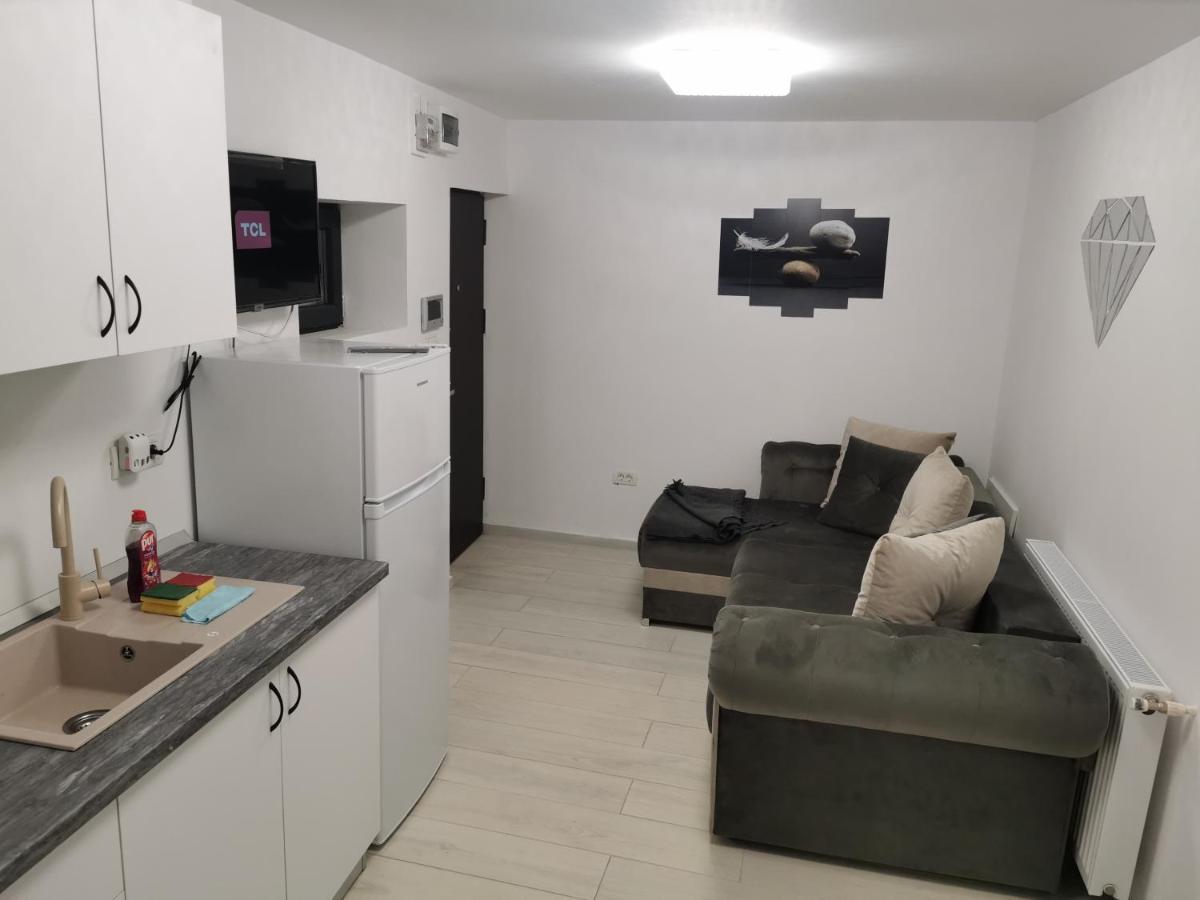 Jolie Luxury Apartments II Timişoara Extérieur photo